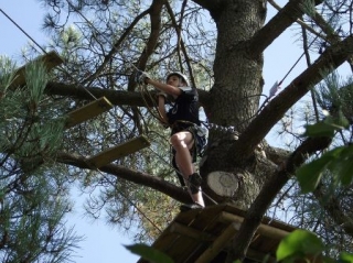  Percorso tra gli alberi 